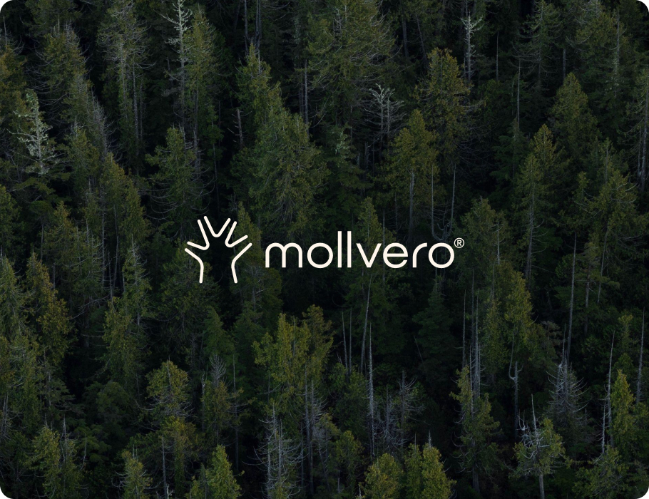 Mollvero – transformácia B2B výrobcu na B2C značku nábytku na mieru